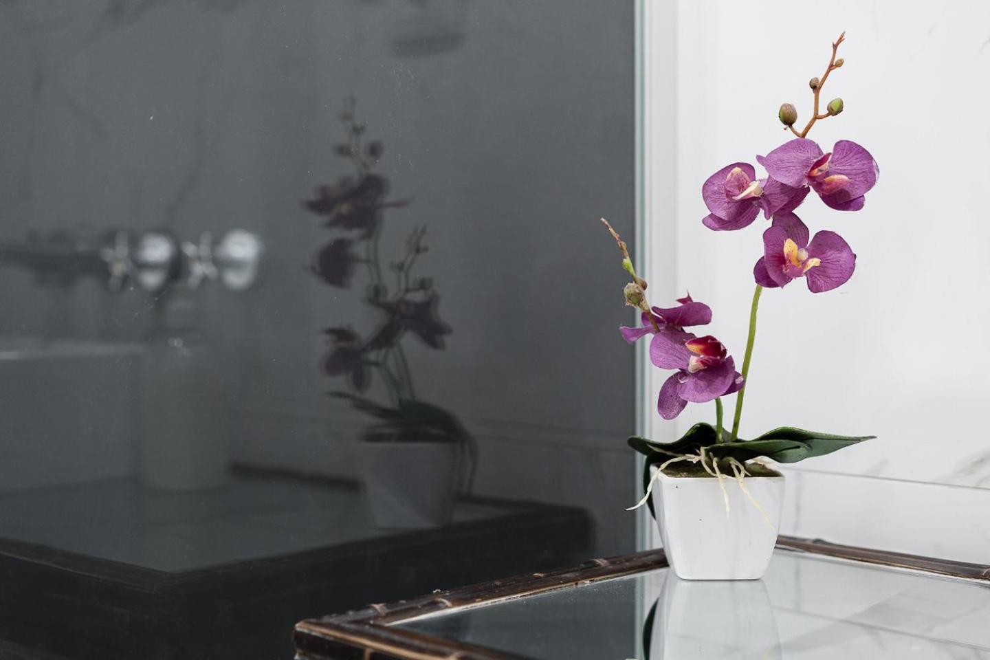Apartament Guestready - Gold Leaf Porto